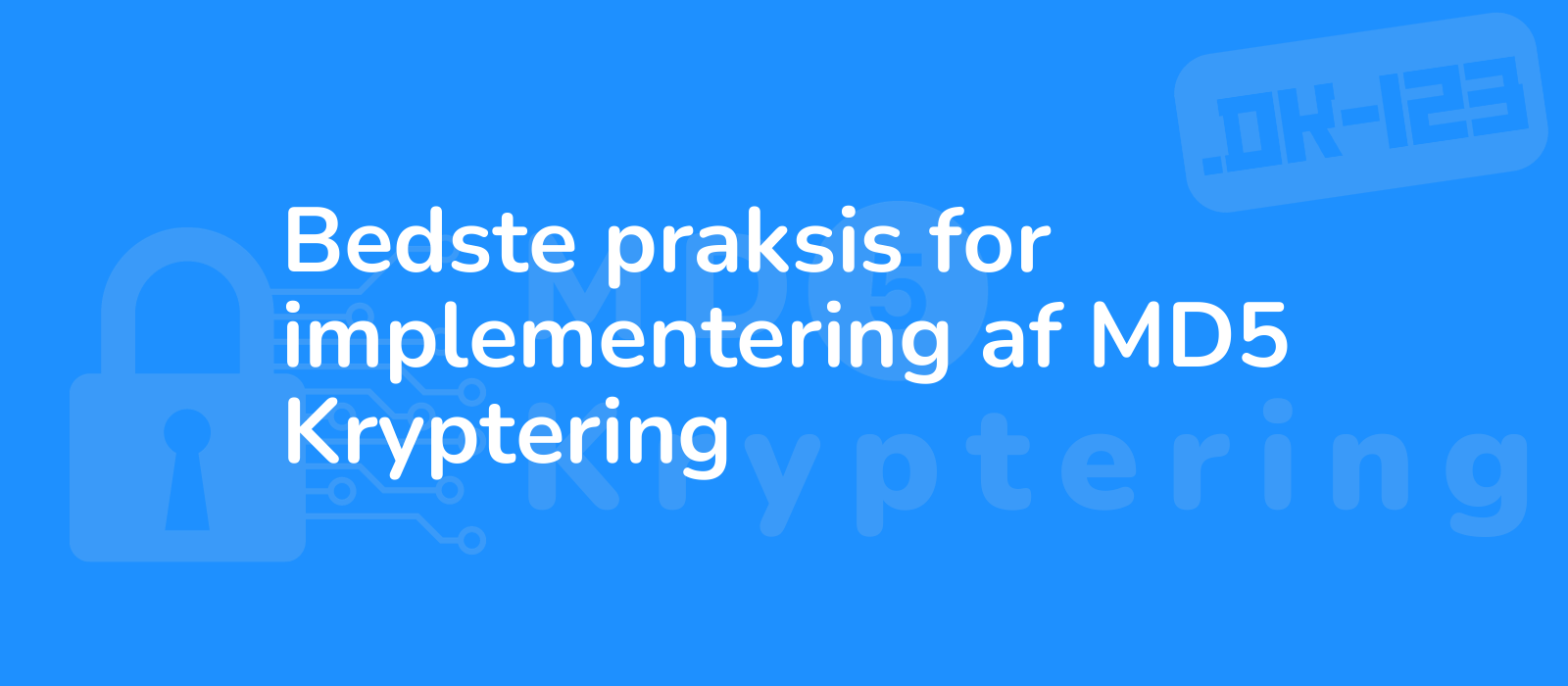 professional hands on demonstration of md5 encryption implementation showcasing secure coding practices minimalist design 8k resolution