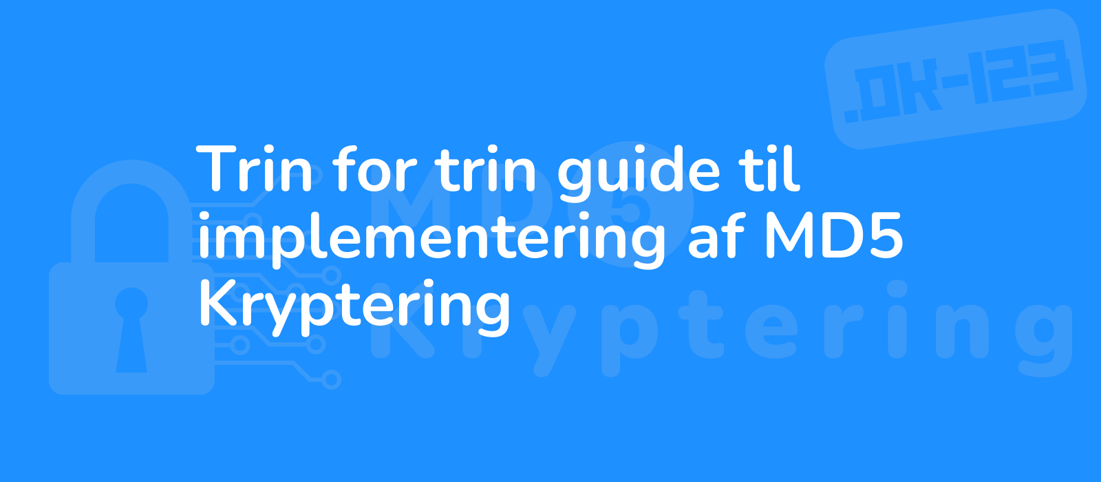step by step guide to implementing md5 encryption depicted with clean and minimalist design symbolizing security and technology